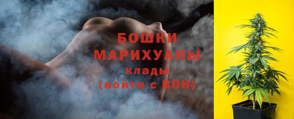 PSILOCYBIN Беломорск