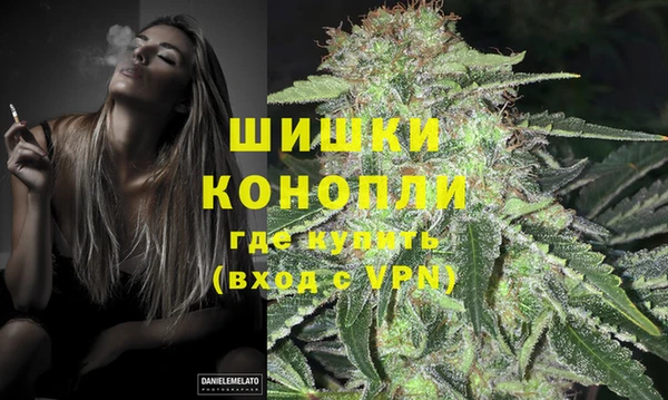 PSILOCYBIN Беломорск