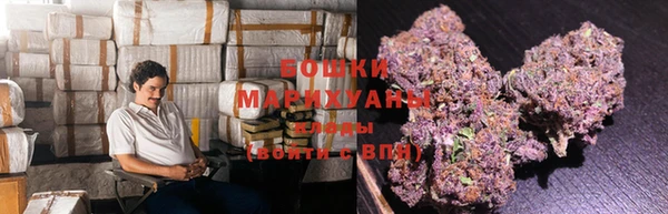 PSILOCYBIN Беломорск