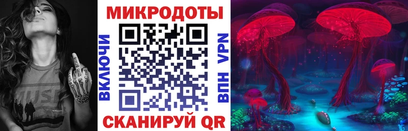 сколько стоит  Краснозаводск  Псилоцибиновые грибы прущие грибы 